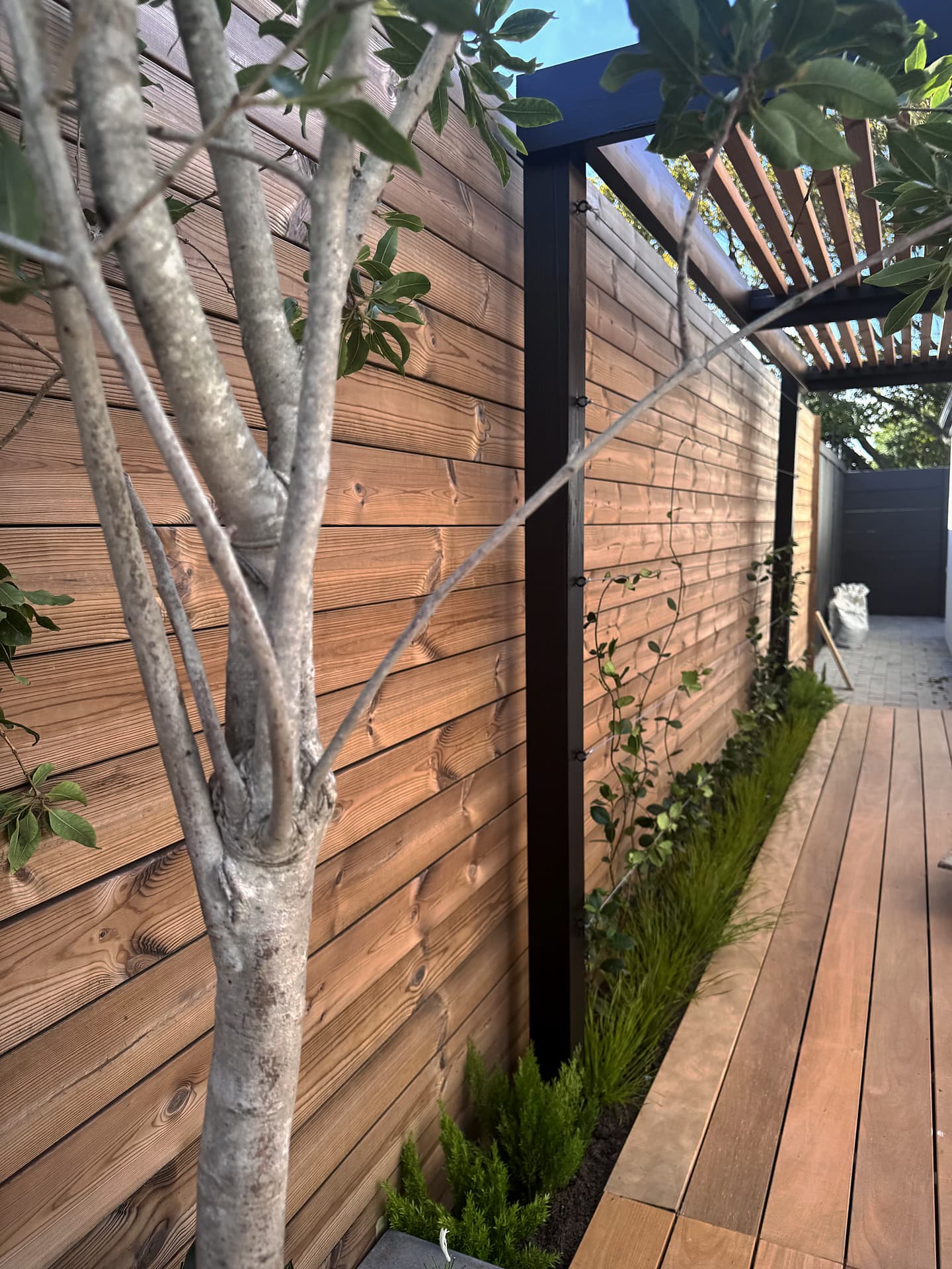 Bloubergstrand – Timber deck and horizontal cladding with a tree alongside